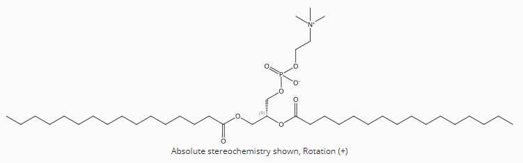 1,2-Dipalmitoyl-sn-glycero-3-phosphocholine