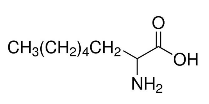 DL-2-Aminooctanoic acid