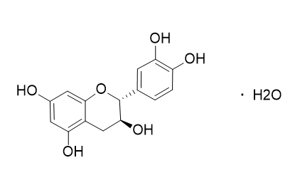 (±)-Catechin hydrate