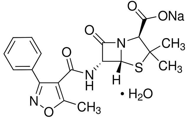 Oxacillin sodium monohydrate