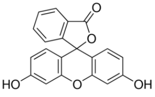 Fluorescein