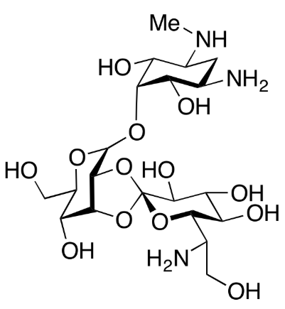 Hygromycin B-d4 (major)
