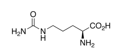 L-Citrulline