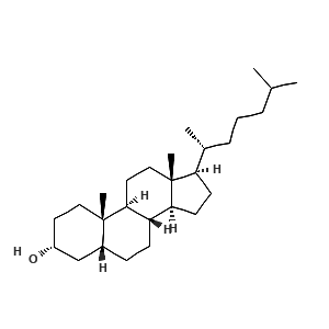 Epicoprostanol Solution in Methanol, 100μg/mL