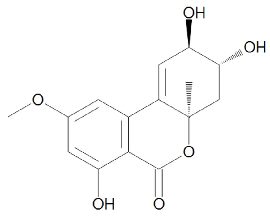 Altenuene