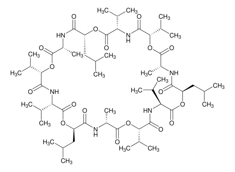 Cereulide Solution in Acetonitrile, 100μg/mL