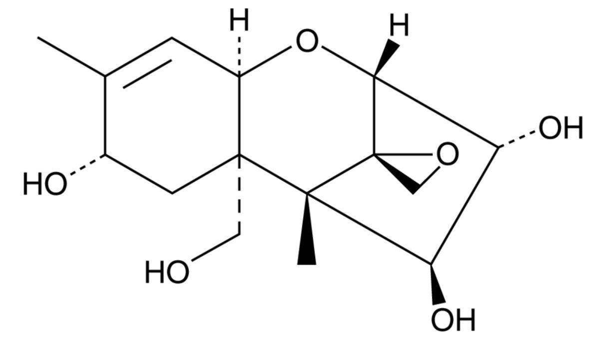 T-2 Toxin Tetraol Solution in Acetonitrile, 50µg/mL