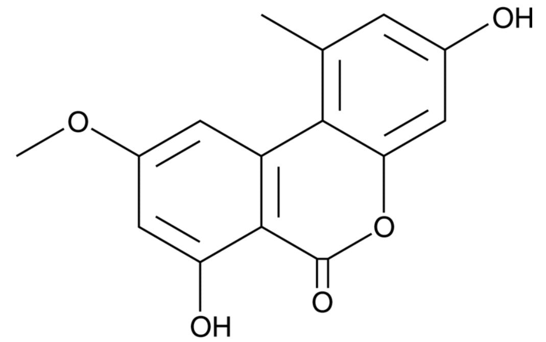 Alternariol monomethyl ether