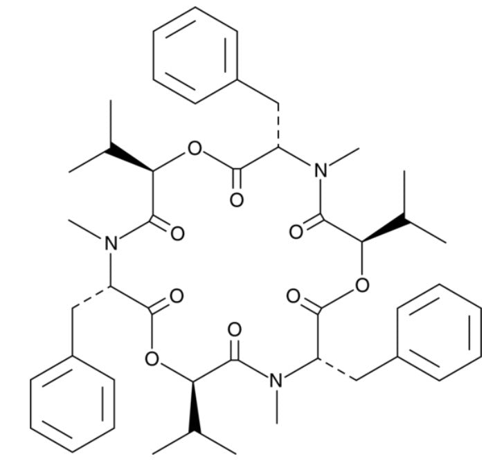 Beauvericin Solution in Acetonitrile, 100μg/mL