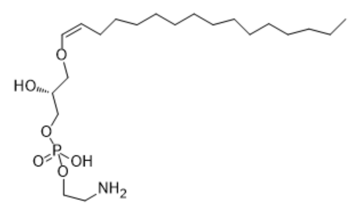 1-(1Z-hexadecenyl)-sn-glycero-3-phosphoethanolamine-d4