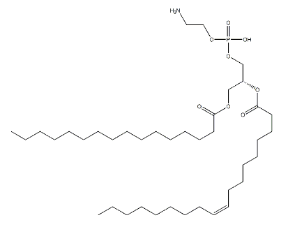 1-Palmitoyl-2-oleoyl phosphoethanolamine