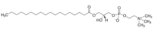 1-Stearoyl-sn-glycerol 3-phosphocholine