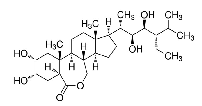 (22S,23S)-28-Homobrassinolide