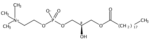1-Nonadecanoyl-Sn-glycero-3-phosphocholine