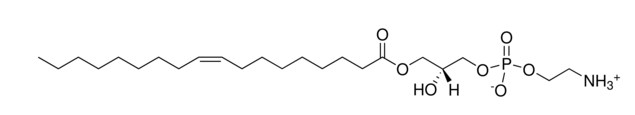 1-Oleoyl-2-hydroxy-sn-glycero-3-phosphatidylethanolamine