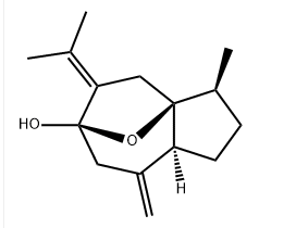 (+)-Isocurcumenol