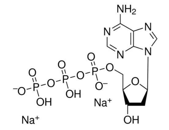 2′-Deoxyadenosine 5′-triphosphate sodium salt