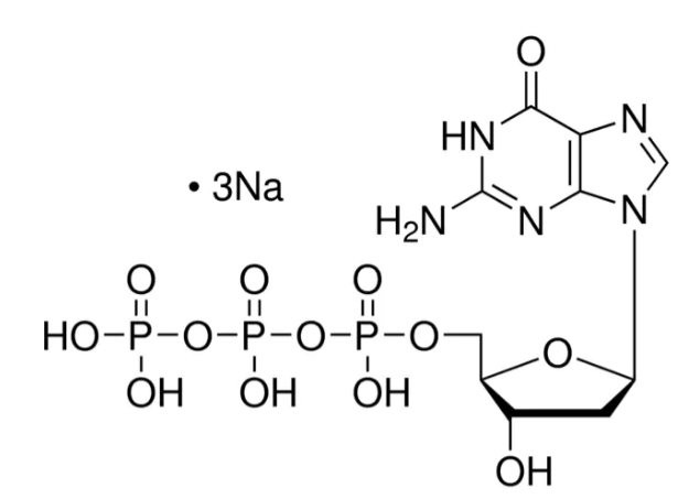 2'-Deoxyguanosine-5'-triphosphate sodium salt