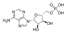 Adenosine 5'-monophosphate