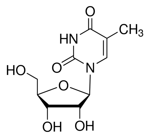 Ribothymidine