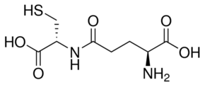 γ-Glutamyl cycteine