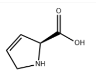 3,4-Dehydro-L-proline