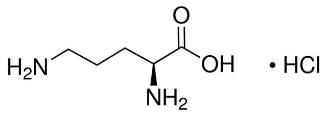 L-Ornithine