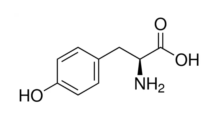 L-Tyrosine