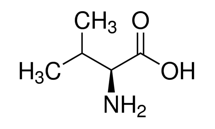 L-Valine